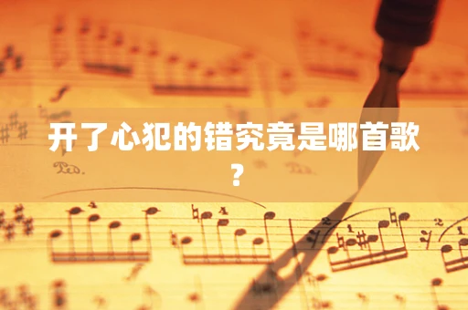 开了心犯的错究竟是哪首歌？