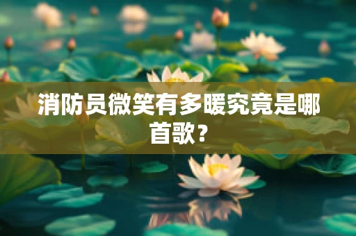 消防员微笑有多暖究竟是哪首歌？