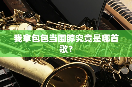 我拿包包当围脖究竟是哪首歌？
