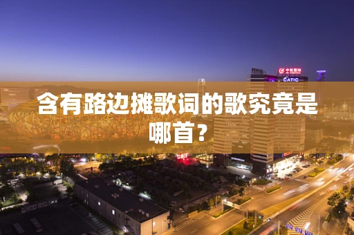 含有路边摊歌词的歌究竟是哪首？