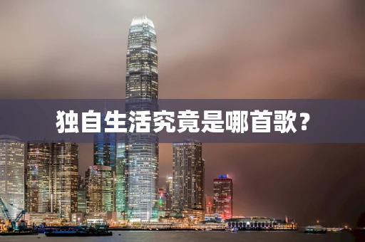 独自生活究竟是哪首歌？