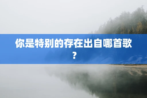 你是特别的存在出自哪首歌？