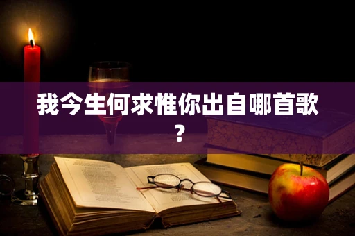 我今生何求惟你出自哪首歌？