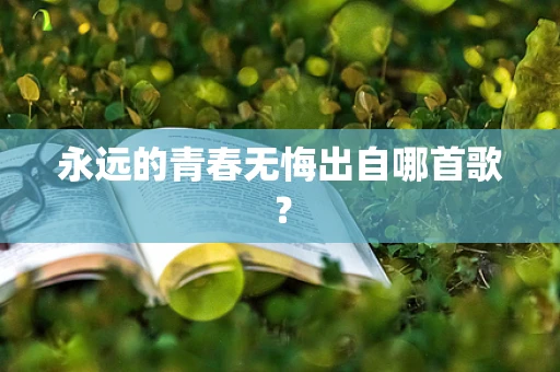 永远的青春无悔出自哪首歌？