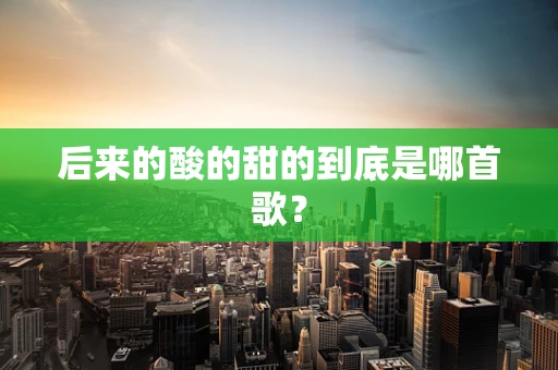 后来的酸的甜的到底是哪首歌？