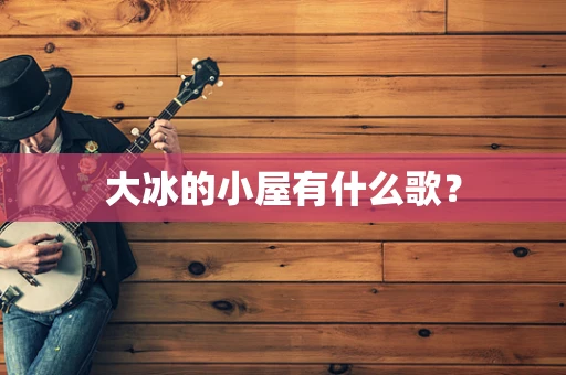 大冰的小屋有什么歌？
