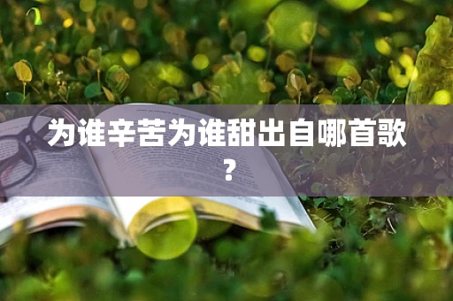 为谁辛苦为谁甜出自哪首歌？
