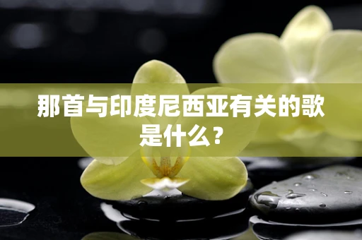 那首与印度尼西亚有关的歌是什么？
