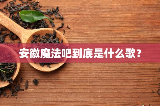 安徽魔法吧到底是什么歌？