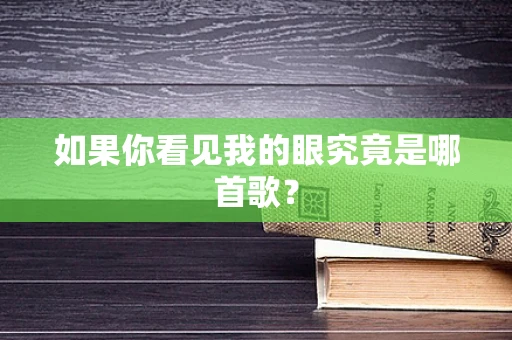 如果你看见我的眼究竟是哪首歌？