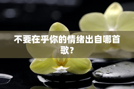 不要在乎你的情绪出自哪首歌？