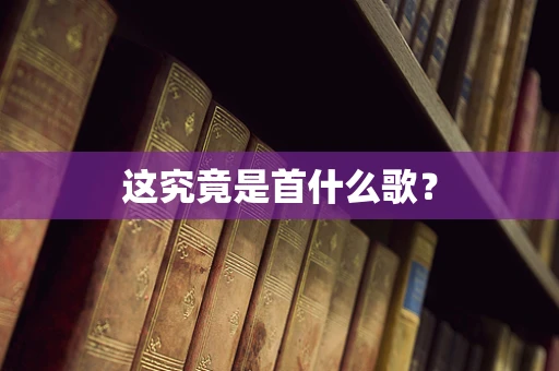 这究竟是首什么歌？