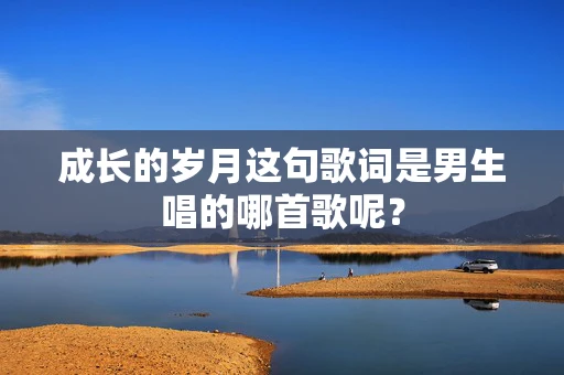 成长的岁月这句歌词是男生唱的哪首歌呢？
