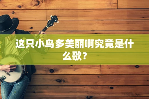 这只小鸟多美丽啊究竟是什么歌？