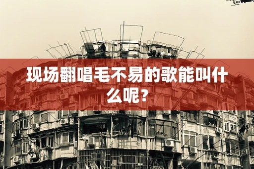 现场翻唱毛不易的歌能叫什么呢？