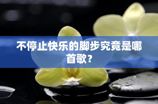 不停止快乐的脚步究竟是哪首歌？