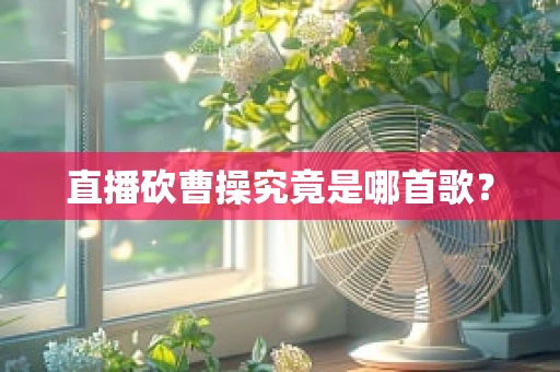 直播砍曹操究竟是哪首歌？