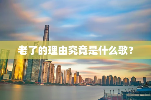老了的理由究竟是什么歌？