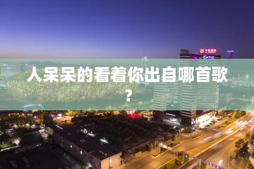 人呆呆的看着你出自哪首歌？