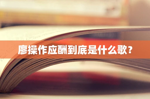 廖操作应酬到底是什么歌？