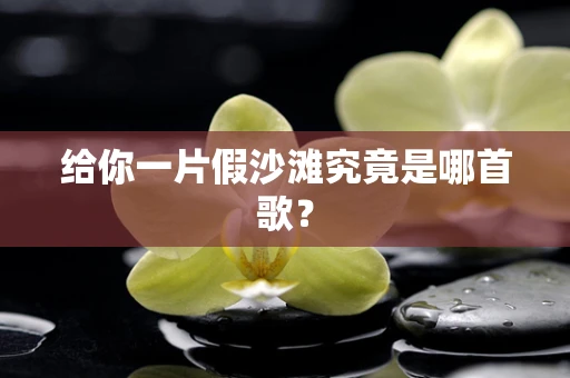 给你一片假沙滩究竟是哪首歌？