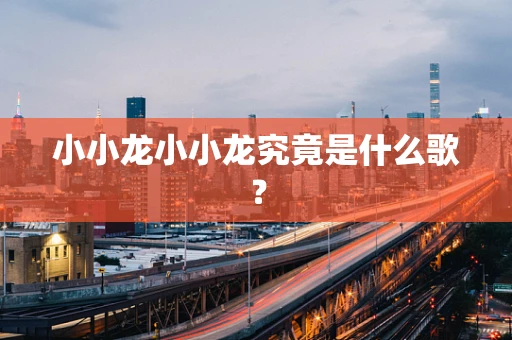 小小龙小小龙究竟是什么歌？