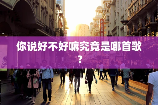 你说好不好嘛究竟是哪首歌？