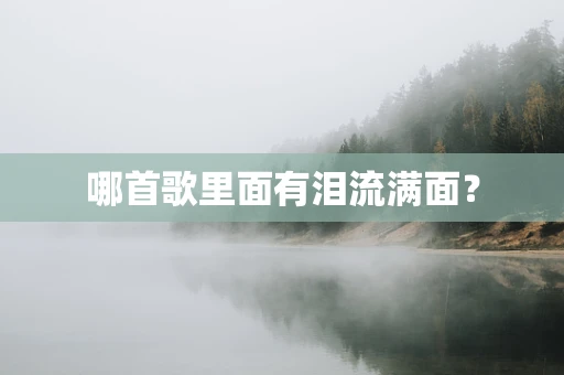 哪首歌里面有泪流满面？