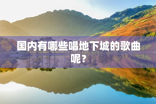 国内有哪些唱地下城的歌曲呢？
