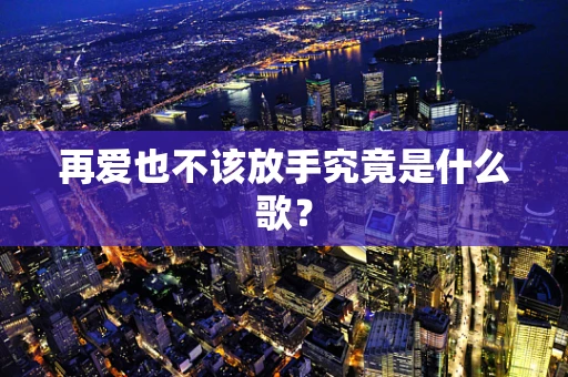 再爱也不该放手究竟是什么歌？