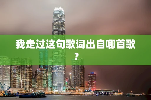 我走过这句歌词出自哪首歌？