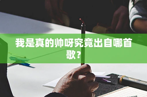 我是真的帅呀究竟出自哪首歌？