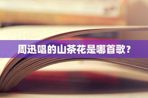 周迅唱的山茶花是哪首歌？