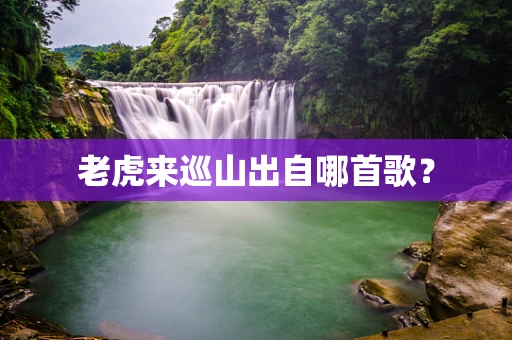 老虎来巡山出自哪首歌？
