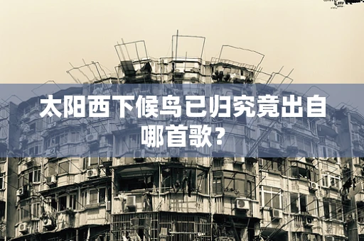 太阳西下候鸟已归究竟出自哪首歌？