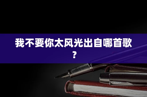 我不要你太风光出自哪首歌？