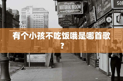 有个小孩不吃饭哦是哪首歌？