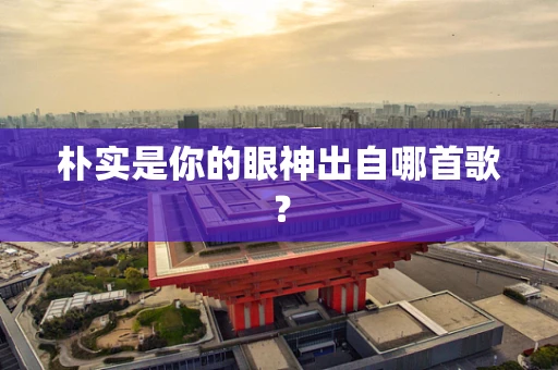 朴实是你的眼神出自哪首歌？