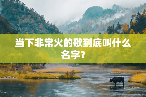 当下非常火的歌到底叫什么名字？