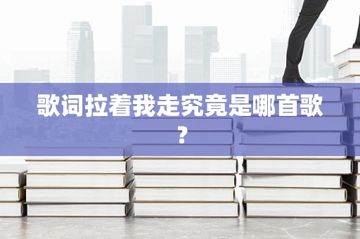 歌词拉着我走究竟是哪首歌？