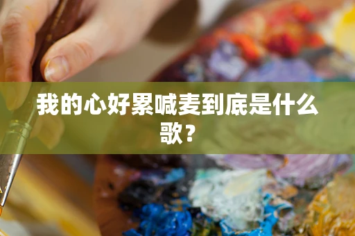 我的心好累喊麦到底是什么歌？