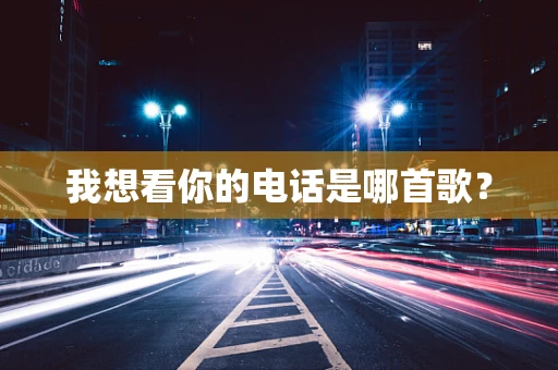 我想看你的电话是哪首歌？