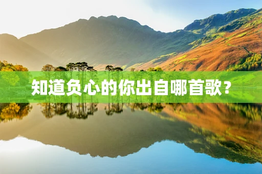 知道负心的你出自哪首歌？
