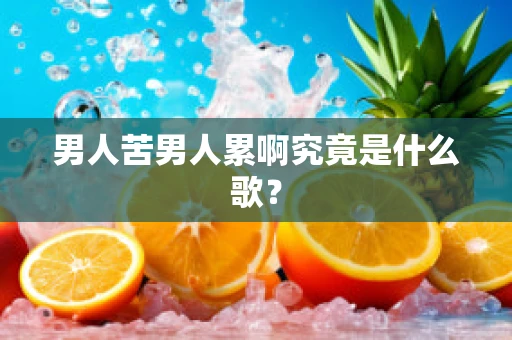 男人苦男人累啊究竟是什么歌？