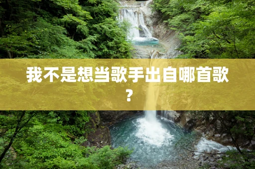 我不是想当歌手出自哪首歌？