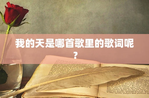 我的天是哪首歌里的歌词呢？