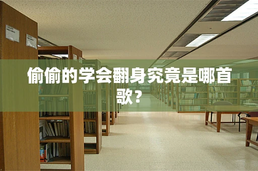 偷偷的学会翻身究竟是哪首歌？