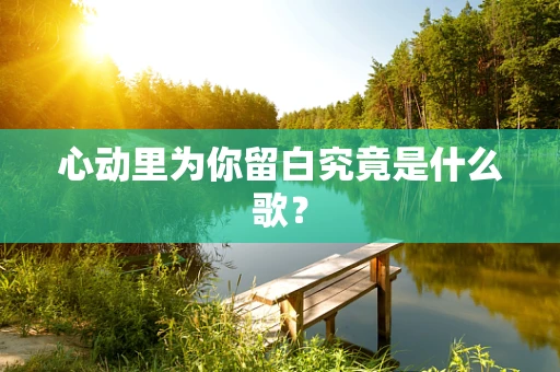 心动里为你留白究竟是什么歌？