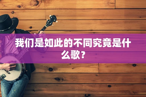 我们是如此的不同究竟是什么歌？