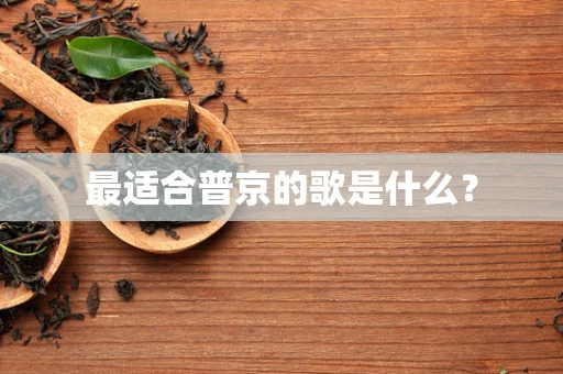 最适合普京的歌是什么？